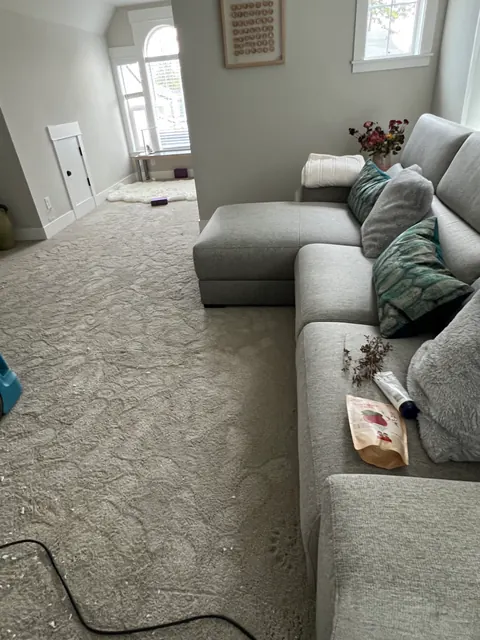 Wet carpet in the family room beside the sectional during drying